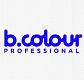 B.Colour Professional 